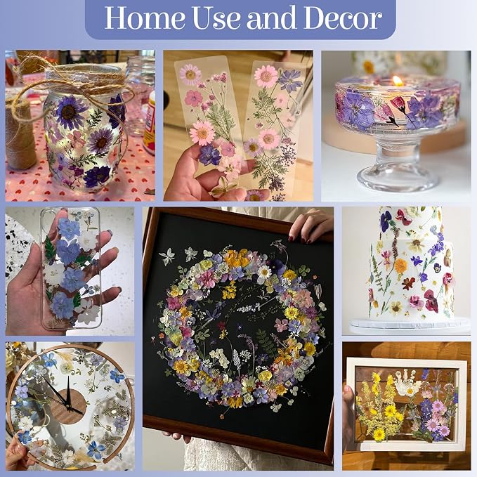 150Pcs Pressed Flowers for Crafts, Colorful Dried Flowers for Crafts Real - Image 5
