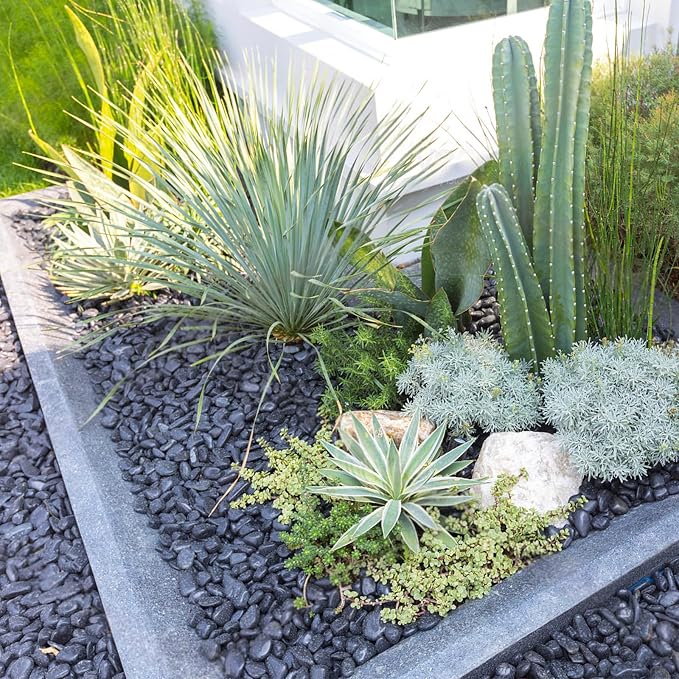 FANTIAN 5 lbs Black Pebbles for Indoor Plants, 1-2 Inch Decorative Black River - Image 5