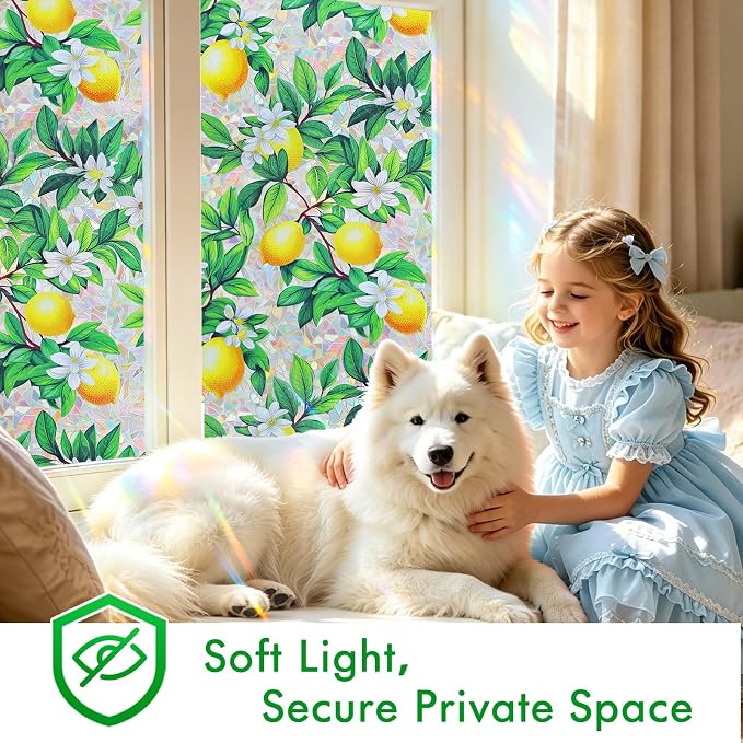 SOMWISE Rainbow Window Privacy Film, Heat Control, UV Blocking, Anti-Glare - Image 3