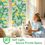 SOMWISE Rainbow Window Privacy Film, Heat Control, UV Blocking, Anti-Glare - Image 3