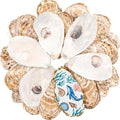 30Pcs Large Flat Oyster Shells for Crafts, 5-6 Inch Cleaned Natural Oyster by LAMIVORA