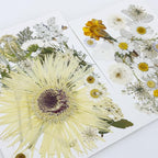 Woohome 44 PCS Pressed Flowers Natural Dried Flowers White Resin Flowers Real - Image 4