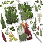 63 Pcs Real Dried Pressed Leaves Natural Dried Leaf by Cinvo