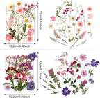 Nuanchu Pressed Flowers Bulk Dried Flower - Image 3