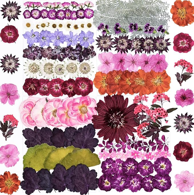 146pcs Dried Pressed Flowers for Crafts, Dried Flowers for Resin, Scrapbooking by WXQX