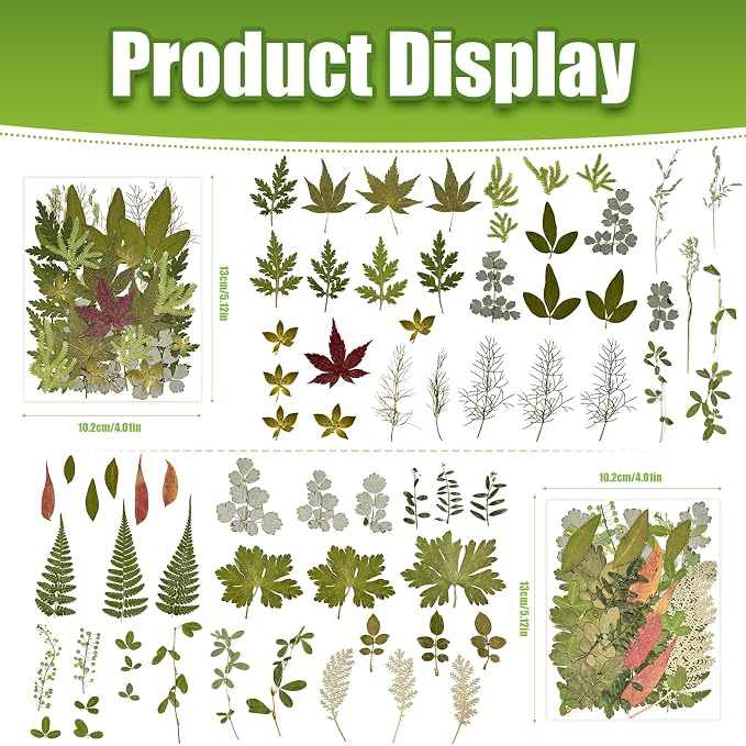 140+ Pcs Dried Flowers Leaves for Crafts, Dried Pressed Flowers for Resin Molds - Image 4