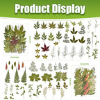 140+ Pcs Dried Flowers Leaves for Crafts, Dried Pressed Flowers for Resin Molds - Image 4