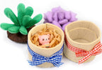 Glittery Garden Felt Succulent Craft Kit. Sewing Project to Make 6 Plushies | - Image 7