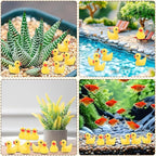 YsesoAi 100Pcs Mini Resin Ducks, Tiny Ducks Figurines Bulk - Image 6