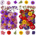 70 pcs Dried Flowers for Resin, Natural Flowers and Leaves Kit by Unknown