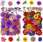 70 pcs Dried Flowers for Resin, Natural Flowers and Leaves Kit by Unknown
