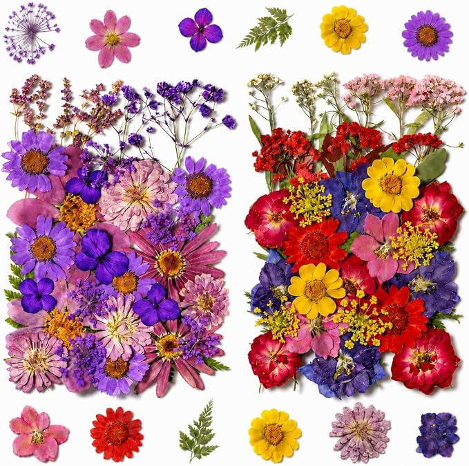 70 pcs Dried Flowers for Resin, Natural Flowers and Leaves Kit by Unknown