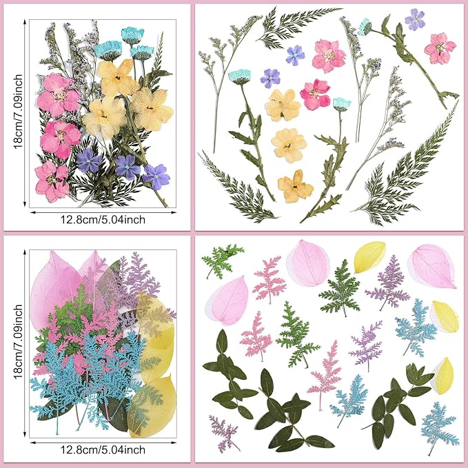 Nuanchu Pastel Dried Flower for Crafts Resin Pressed Flowers Bulk Real Dried - Image 4