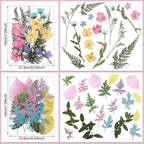 Nuanchu Pastel Dried Flower for Crafts Resin Pressed Flowers Bulk Real Dried - Image 4