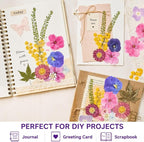 Real Dried Pressed Flowers for Crafts, Scrapbooking, Card Making, DIY - Image 3