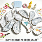 20Pcs Flat Oyster Shells 3-4 Inch, Cleaned Natural Oyster Shells - Image 3