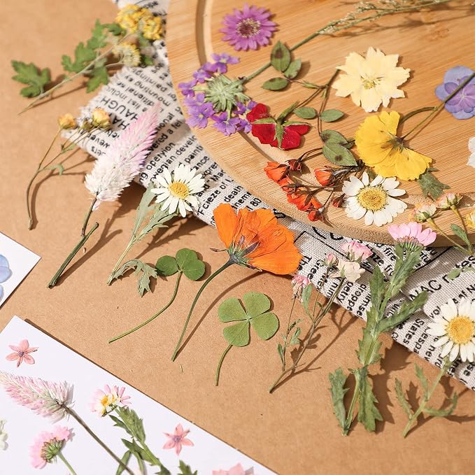 Nuanchu Dried Pressed Flowers for Crafts Resin Real Flat Dried Wildflowers Bulk - Image 2