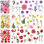 MIKIYA 182Pcs Dried Pressed Flowers - Image 6