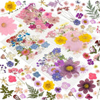 204 Pcs Dried Pressed Flowers for Resin Crafts, Real Natural Pressed Flowers by Unknown