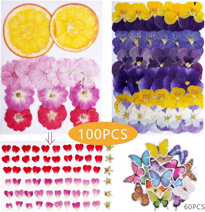 100 PCS Real Dried Pressed Flowers, Mix Natural Dried Pansy Citrus - Image 2