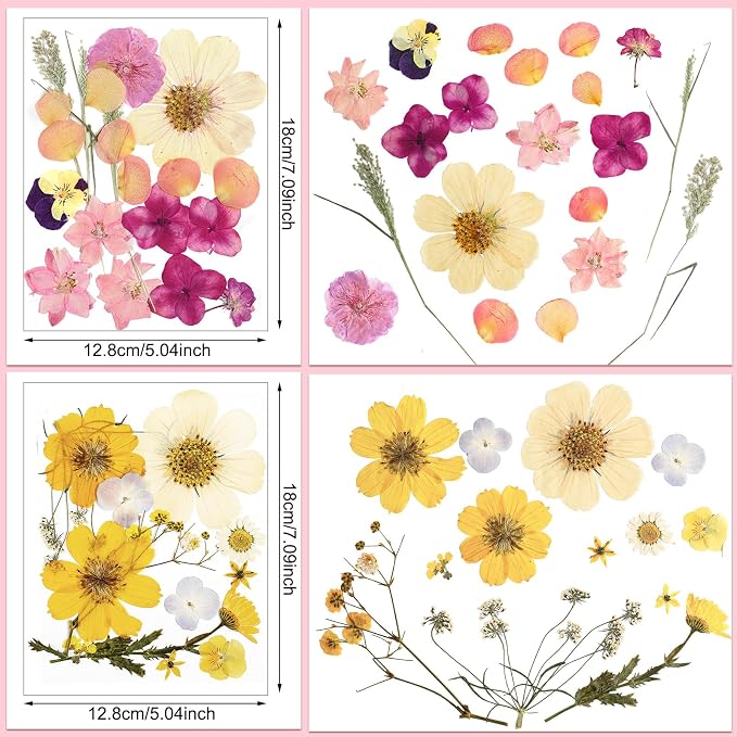 Nuanchu Dried Flower for Crafts Resin Pressed Flowers Bulk Real Dried - Image 3