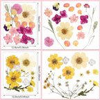 Nuanchu Dried Flower for Crafts Resin Pressed Flowers Bulk Real Dried - Image 3