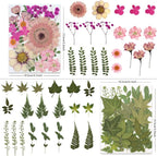 LUXEEASE 80P Vibrant Colors Large Pressed Flowers & Leaves | Cosmos daisy maple - Image 3