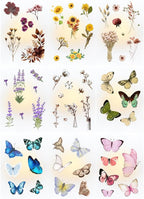 BulbaCraft Transparent Flower and Butterfly Stickers - Image 4