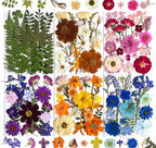 120Pcs Multi-Style Dried Pressed Flowers & Leaves by Unknown