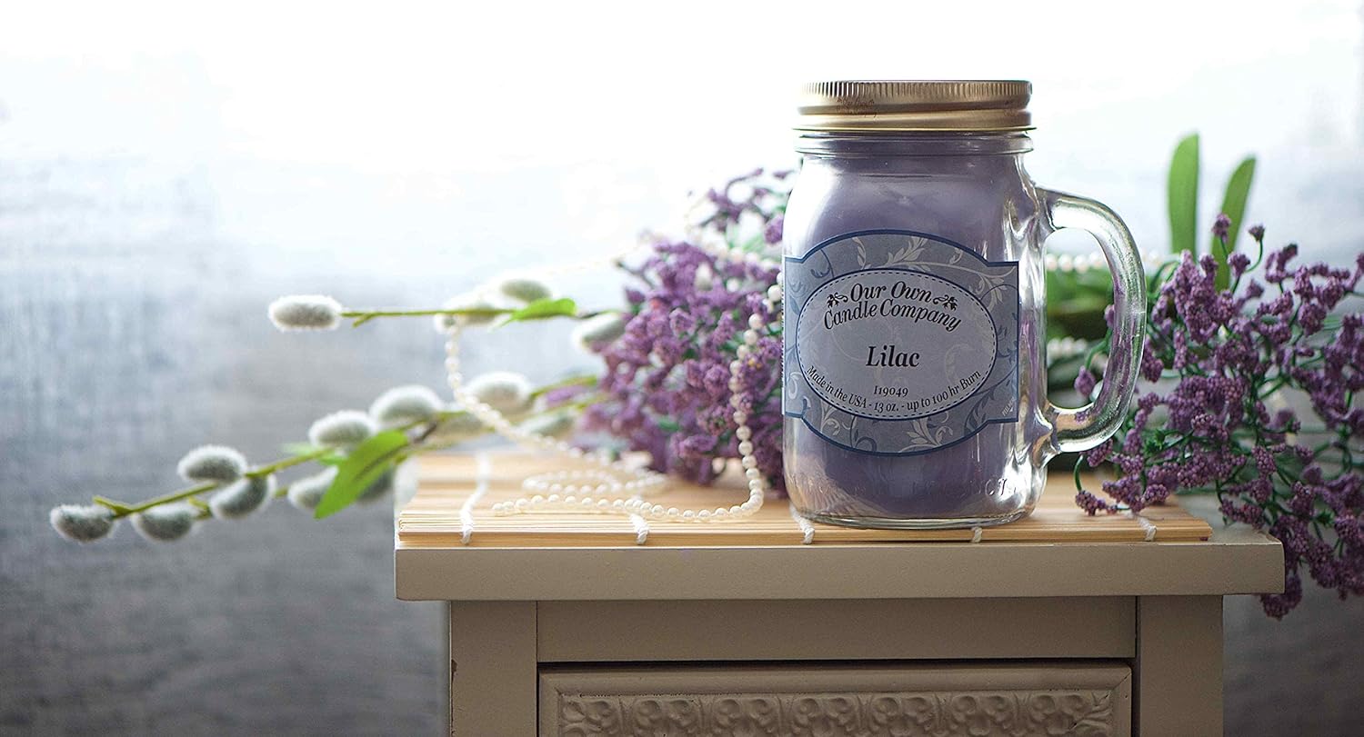 Our Own Candle Company Premium Wax Melt, Raspberry Lemonade, 6 Cubes, 2.4 oz (4 Pack)