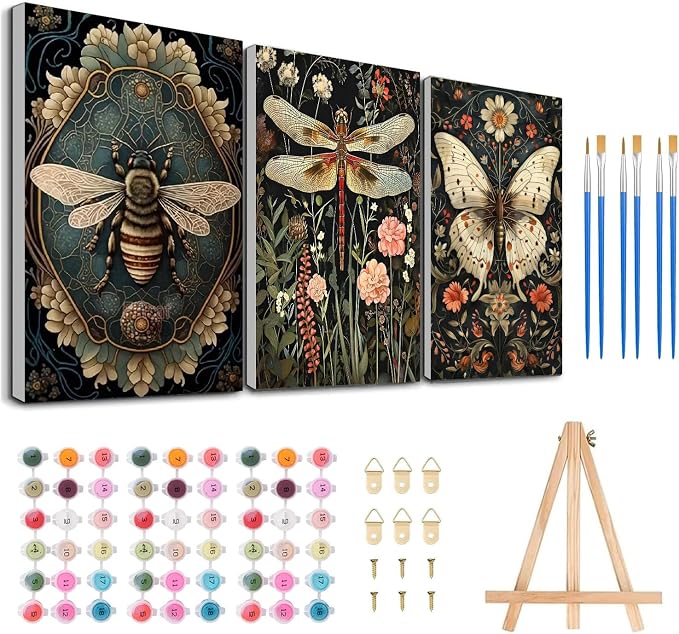 3 Pack Framed Paint by Numbers for Adult by MeothanDiamondPainting