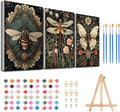 3 Pack Framed Paint by Numbers for Adult by MeothanDiamondPainting