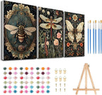 3 Pack Framed Paint by Numbers for Adult by MeothanDiamondPainting