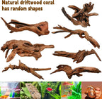 Hamiledyi Aquarium Driftwood, Natural Large 7-15in Coral Driftwood - Image 6