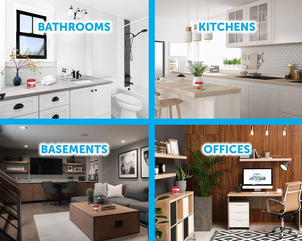 Bright Air 14 oz. Super Odor Eliminator, for Medium-Size Spaces, Fresh Apples & Spice Scent, Case of 6, Lasts Up to 90 Days Each