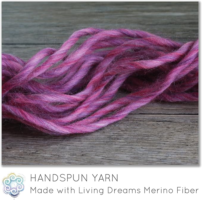 Living Dreams Yarn Festival Merino Wool Fiber. Colorful Combed top roving - Image 2
