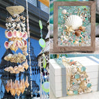 Natural Sea Shell Mixed Ocean Shells Set - Image 5