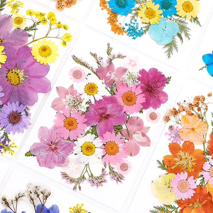 Woohome 44 PCS Pressed Flowers Natural Dried Flowers Pink Resin Flowers Real - Image 8