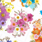 Woohome 44 PCS Pressed Flowers Natural Dried Flowers Pink Resin Flowers Real - Image 8