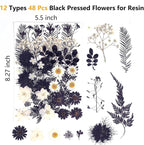 12 Types 48PCS Real Dried Pressed Flowers - Image 2