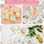 96 Pcs Natural Dried Pressed Flowers - Image 6