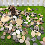 FANTIAN 2 lbs Pebbles for Plants, 1-2 inch Polished River Rocks for Plants - Image 4