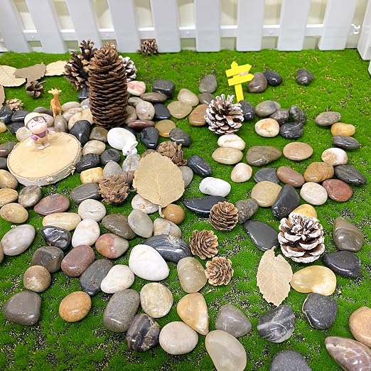 FANTIAN 2 lbs Pebbles for Plants, 1-2 inch Polished River Rocks for Plants - Image 4