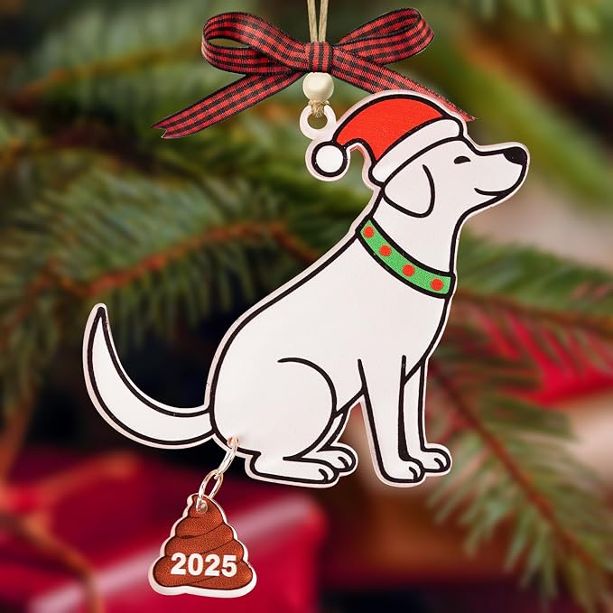 God Say You are Christian Christmas Ornament 2025, God Says I am 2D Flat by KATINAT