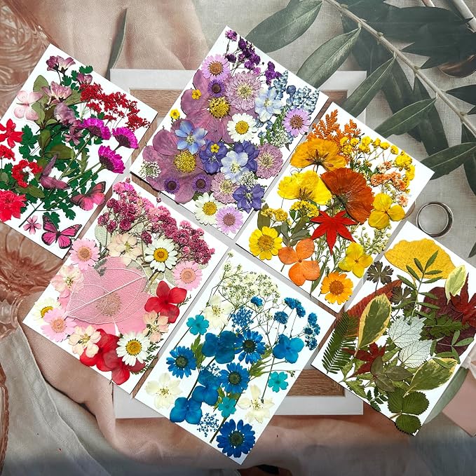 MIKIYA 150Pcs Dried Pressed Flowers - Image 3