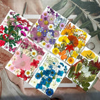 MIKIYA 150Pcs Dried Pressed Flowers - Image 3