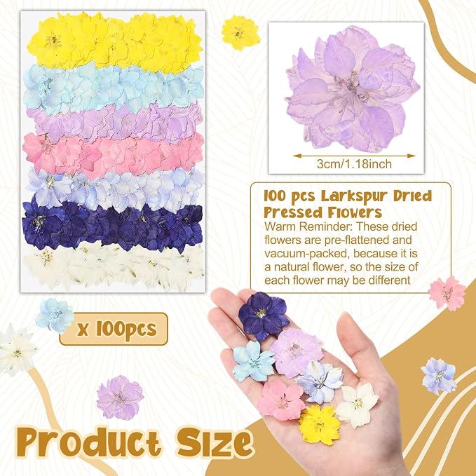 Woanger 100 pcs Dried Pressed Flowers Small Dry Flowers Real Natural Resin - Image 2