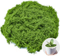Fake Green Moss for Crafts 10.6 Oz Decorative Artificial Moss for Crafts by AIFONG