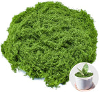 Fake Green Moss for Crafts 10.6 Oz Decorative Artificial Moss for Crafts by AIFONG