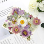 40PCS Real Nature Dried Pressed Flowers - Image 5